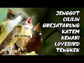 Download Lagu KOMBINASI MASTERAN TEMBAKAN PEDES SUPER MEWAH | PALING DICARI PARA MASTER