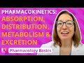 Pharmacokinetics Absorption Distribution Metabolism Excretion - Pharmacology Basics LevelUpRN