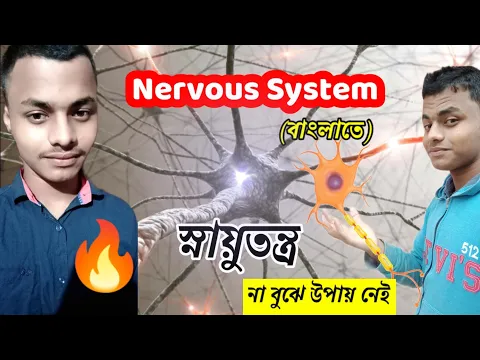 Download MP3 স্নায়ুতন্ত্র | Wbbse Class 10 Life Science Chapter 1 | Nervous System in bengali | Snayu Tantra