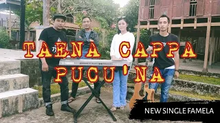 Download FAMELA - TAENA CAPPA PUCU'NA OFFICIAL VIDEO (NEW SINGLE) #lagudaerah #lagumakassar #newsingle MP3