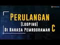 Looping in the C Programming Language