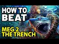 How to Beat BAD WRITING in MEG 2