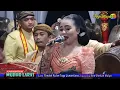 Download Lagu PERTELON PUNGKRUK cokek MUDHO LARAS sinden ayu wilis