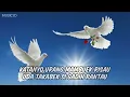Download Lagu lagu  minang burung lah putih meredai