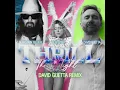 Thrill Of The Night (David Guetta Remix) (feat. Slayyyter & Nile Rodgers) - Sébastien Tellier