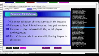 introduction to revision upbright classes