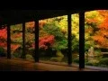 Download Lagu 凜Rin' - Sakitama~幸魂~(中文字幕)