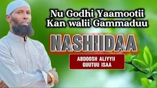 New Nashiidaa Haariya Abdoosh Aliyyii 