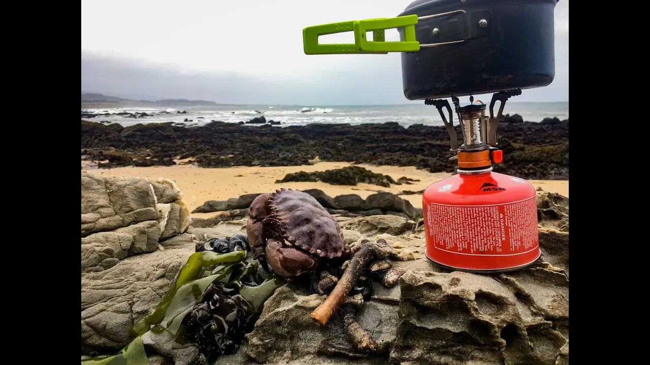 Coastal foraging: Making seafood chowder + weird giant sea creature