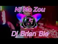Download Lagu Ni Mo Zou 你莫走 Remix By Dj Brian Bie