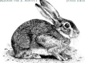 RABBIT ON A SHOVEL - THE STATION   by John Huie