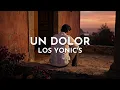Los Yonic's - Un Dolor (Visualizer)