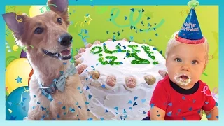 belated birthday boy look whos vlogging daily bumps