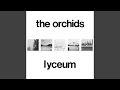 Download Lagu Het is slechts voor de hand liggend