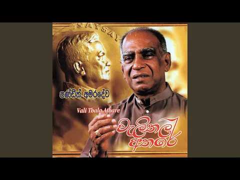 Download MP3 Peradinayaka Ma