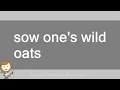 sow one s wild oats