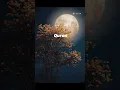 Download Lagu Surah al Maidah #quran#islam#ytshorts#shorts