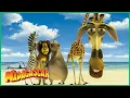 Download Lagu Conheça a Turma! 🦁 | DreamWorks Madagascar em Português