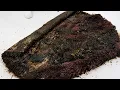 A BIOHAZARD Hiding In Plain Sight The Most Contaminated Rug Yet Satisfying ASMR Carpet Cleaning