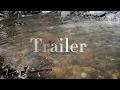 Reverse - Dipper Gleeful Counting Sheep Trailer