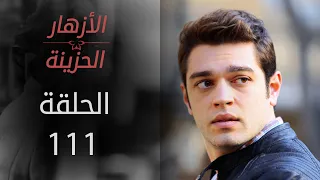 مسلسل الأزهار الحزينة الحلقة 111 الموسم الأول 