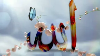 حبيبي اصل الجمال وهوا الكمال كله صلوات الله عليه دندنها