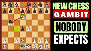 A NEW CRAZY GAMBIT TO CRUSH EVERYTHING c5 IT LOOKS LIKE A JOKE