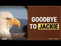 Goodbye Jackie the Eagle A Look at What Made Her Special