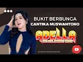 Download Lagu CANTIKA NUSWANTORO - BUKIT BERBUNGA // OM ADELLA - LIVE PACITAN