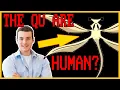 Download Lagu The Qu Are Human?! - All Tomorrows Theory