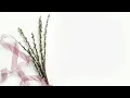 Download Lagu GOODBYE - Claudia Emmanuela Santoso (Lyrics) Download Lagu GOODBYE - Claudia Emmanuela Santoso (Lyrics)