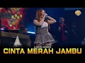 Download Lagu CINTA MERAH JAMBU - Ajeng Febria - ZEUS MUSIC LIVE ST BIER JOGJA