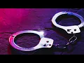 TPSO Hammond teen arrested at school with drugs and stolen gun
