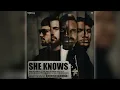 Download Lagu Dimitri Vegas \u0026 Like Mike x David Guetta x Afro Bros Ft. Akon - She Knows [Jaxx \u0026 Vega Remix]