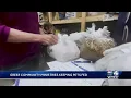 Greer Pet PKG
