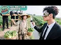 Download Lagu Gadis Dibuang Keluarga Tinggal Gunung, Tak Disangka CEO Kaya Raya Naik Gunung Lamar Dengan Miliaran