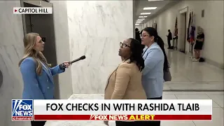 Rep Rashida Tlaib lost it at Fox Business Hillary Vaughn