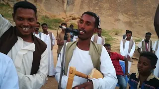 الفنان النيل محمد حامد 