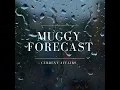 Oddly Comforting Rain