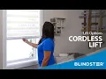 Zebra Dual Shades with Cordless Lift - Blindster QuickView