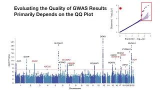 How to interpret QQ-Plot