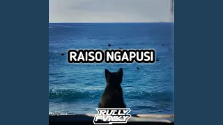 raiso ngapusi
