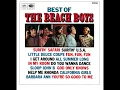 The Beach Boys - Surfin' Safari (Extended Loop/1962 Mono Mix)