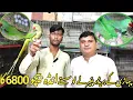 Download Lagu Pahari Ke Breeder Pair Wo Bhi Season Ke Start Me | Chick Nahi Eggs Becho EK Clutch me Paise  Bahar