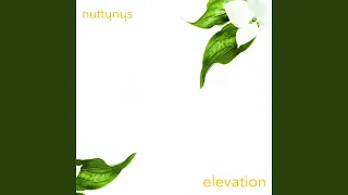 elevation