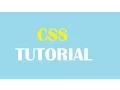 CSS Tutorial for Beginners 06 - padding property