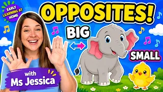 Toddler Learning with Ms Jessica : Opposites Words  | Fun Toddler Learning | Preschool Learning