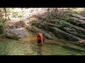 Holston Mountain natural water slide and swimming hole