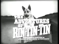 Download Lagu Meet Rin Tin Tin [S1, Ep1] The Adventures of Rin Tin Tin