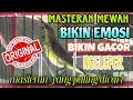 Download Lagu Kurang Dalam 1 mnt burung anda pasti ikut gacor // masteran terampuh 2025 sogon gacor dor ngeleper